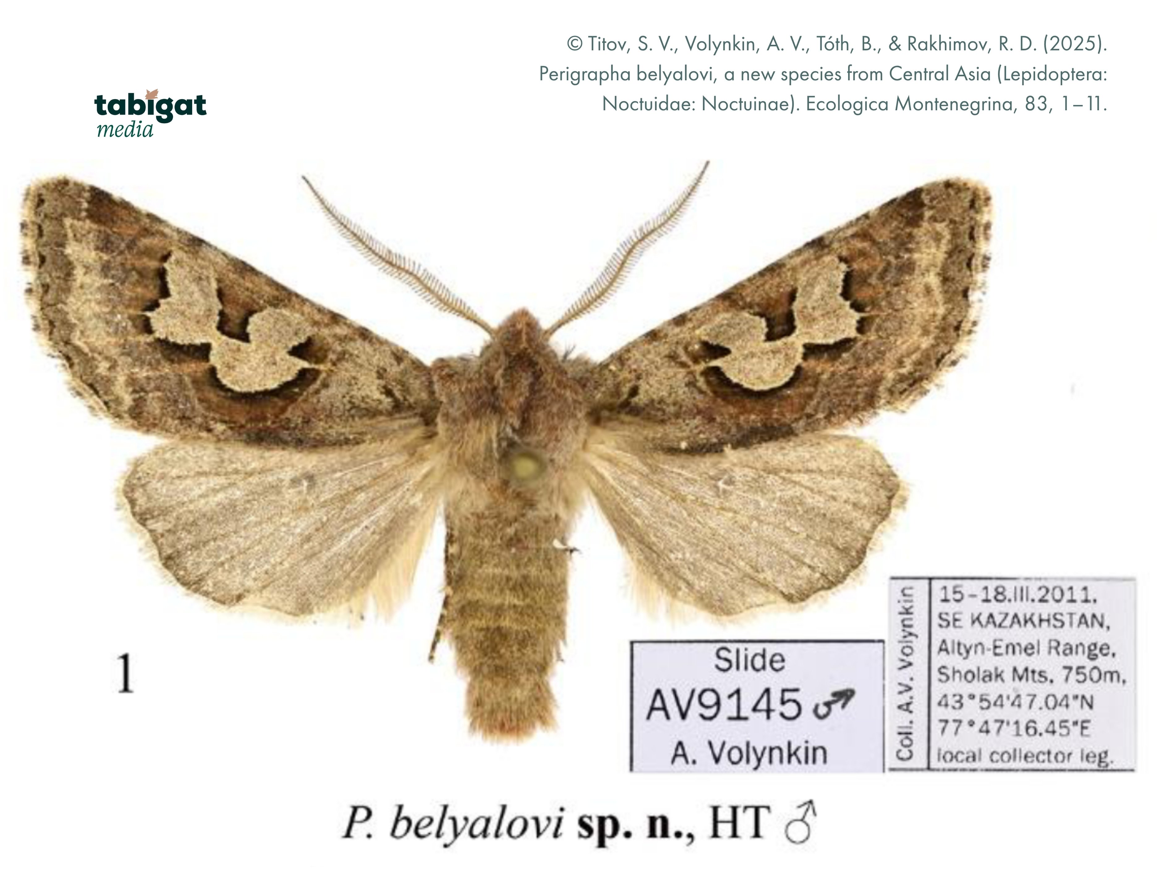 Жыныстық бағыну шынайы